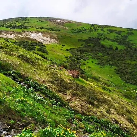 кришталеві вершини