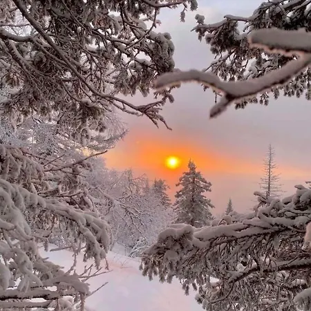 кришталеві вершини * Vorokhta